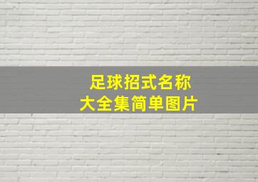 足球招式名称大全集简单图片