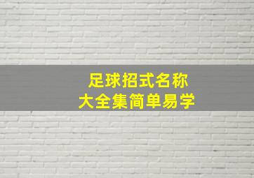 足球招式名称大全集简单易学