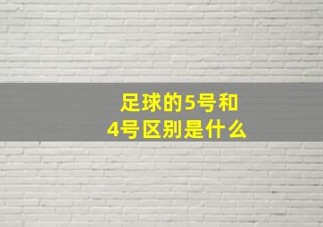 足球的5号和4号区别是什么