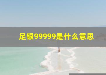 足银99999是什么意思