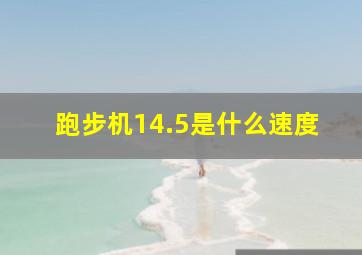 跑步机14.5是什么速度