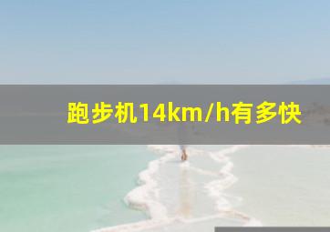 跑步机14km/h有多快