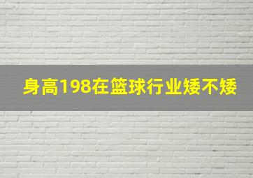 身高198在篮球行业矮不矮