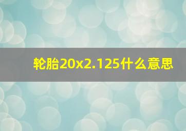 轮胎20x2.125什么意思