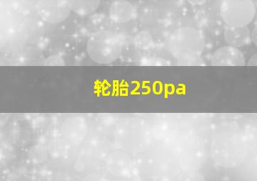 轮胎250pa