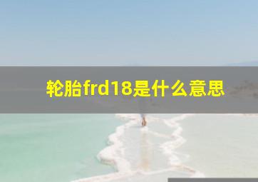 轮胎frd18是什么意思