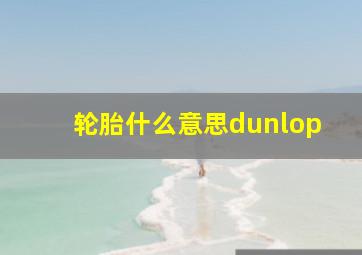 轮胎什么意思dunlop