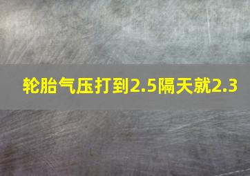 轮胎气压打到2.5隔天就2.3