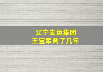 辽宁宏运集团王宝军判了几年