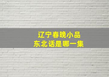 辽宁春晚小品东北话是哪一集