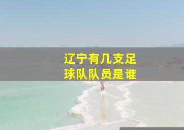 辽宁有几支足球队队员是谁