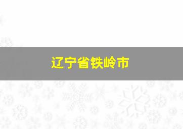 辽宁省铁岭市