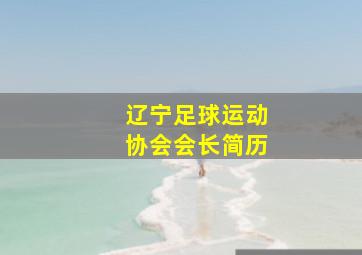 辽宁足球运动协会会长简历