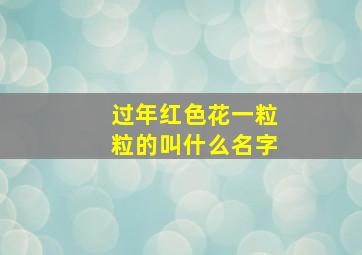 过年红色花一粒粒的叫什么名字