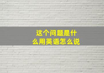 这个问题是什么用英语怎么说