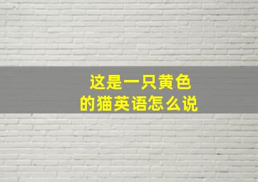 这是一只黄色的猫英语怎么说