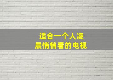 适合一个人凌晨悄悄看的电视