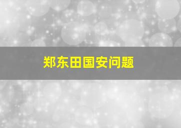 郑东田国安问题