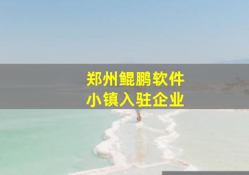 郑州鲲鹏软件小镇入驻企业