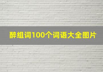 醉组词100个词语大全图片