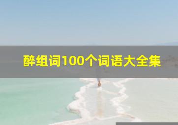 醉组词100个词语大全集