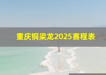 重庆铜梁龙2025赛程表