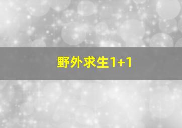 野外求生1+1