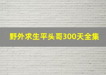 野外求生平头哥300天全集