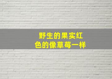 野生的果实红色的像草莓一样