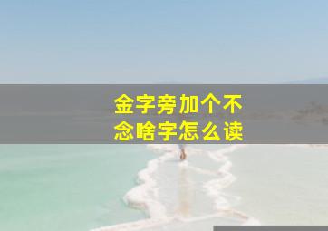 金字旁加个不念啥字怎么读