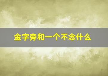 金字旁和一个不念什么