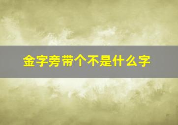 金字旁带个不是什么字