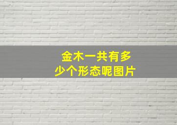 金木一共有多少个形态呢图片