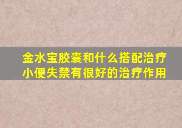 金水宝胶囊和什么搭配治疗小便失禁有很好的治疗作用