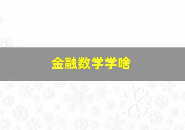 金融数学学啥