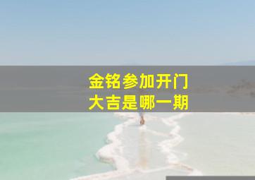 金铭参加开门大吉是哪一期