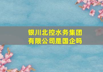 银川北控水务集团有限公司是国企吗