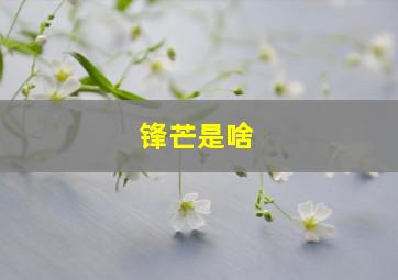 锋芒是啥