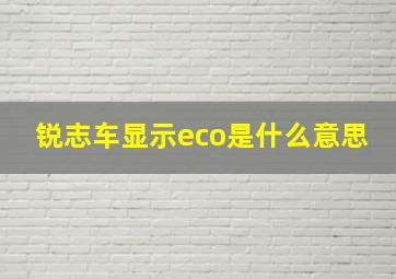 锐志车显示eco是什么意思