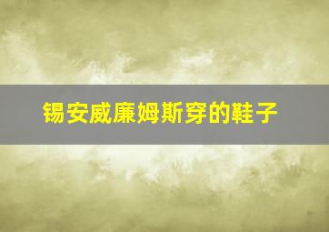 锡安威廉姆斯穿的鞋子