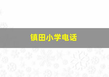 镇田小学电话