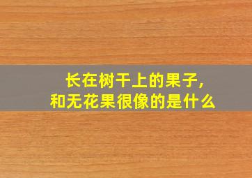 长在树干上的果子,和无花果很像的是什么