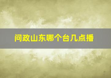 问政山东哪个台几点播