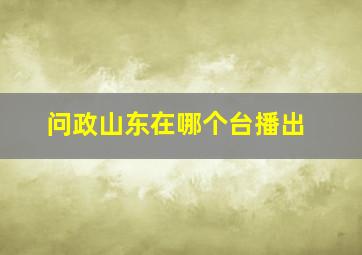 问政山东在哪个台播出