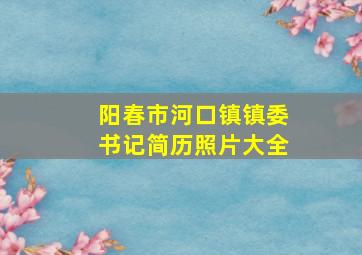 阳春市河口镇镇委书记简历照片大全