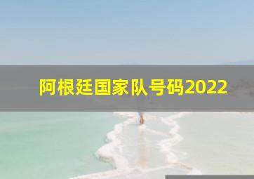 阿根廷国家队号码2022