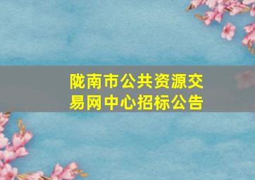 陇南市公共资源交易网中心招标公告