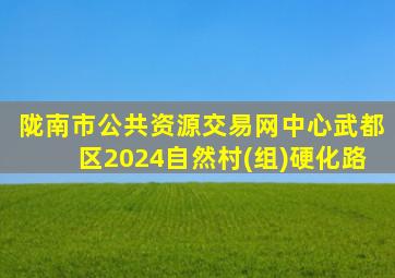 陇南市公共资源交易网中心武都区2024自然村(组)硬化路