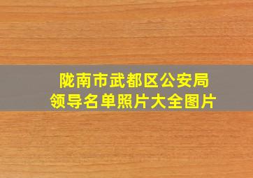 陇南市武都区公安局领导名单照片大全图片