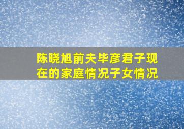 陈晓旭前夫毕彦君子现在的家庭情况子女情况